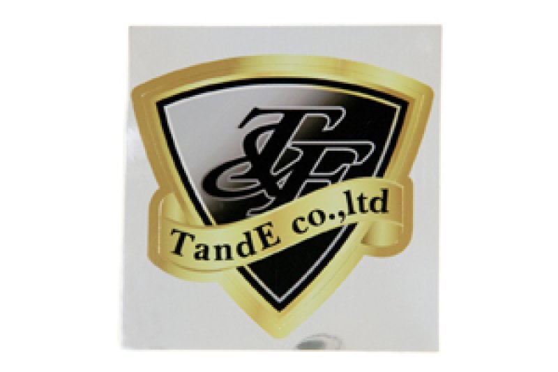 画像1: ティーアンドイーＧエンブレム／クローム (1)