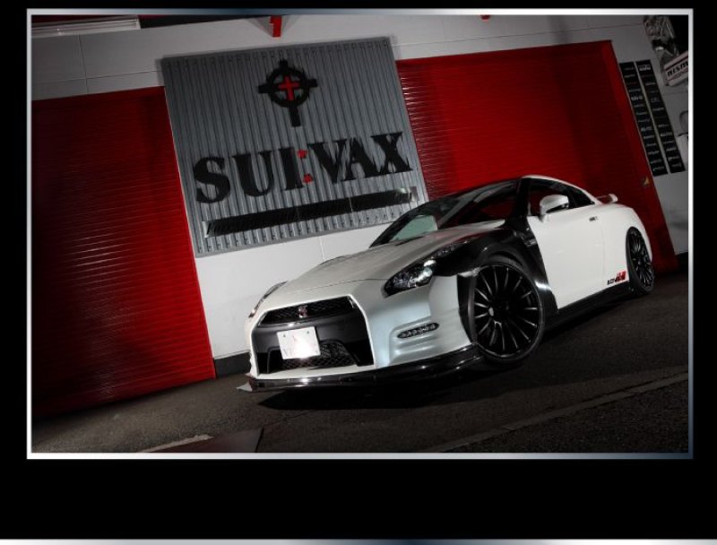 画像2: 【R VERTEX】GT-R R35 フロントバンパー用パネル