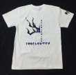 画像2: TEAM VERTEX KUMADORI Tee (2)
