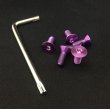 画像11: VERTEX STEERING TITANIUM TORX BOLT　 6 PICE SET（ヘッド トルクスタイプ　専用レンチ付）チタントルクスボルト (11)