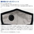 画像13: [アンチウイルスマスク（通気口有りタイプ）]ウイルスを吸着して破壊する（洗えて再利用可能）GSIクレオス［日本製］ (13)