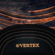 画像3: KING of VERTEX Hat GOLD＆BLACK／アメリカより逆輸入！限定販売品 (3)