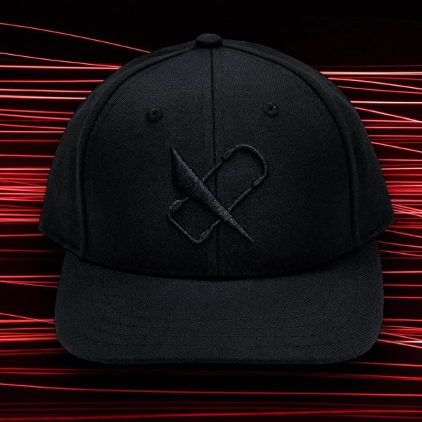 画像6: KING of VERTEX Hat GOLD&BLACK/アメリカより逆輸入!限定販売品 (6)