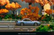 画像3: 【日本未発売ブリスターモデル・予約品】1/64　VERTEX NISSAN S13 SILVIA Blue/Grey MIJO EXCLUSIVES BLISTER CARD /TARMAC Works ダイキャスト (3)