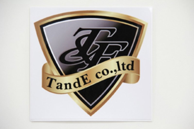 画像1: ティーアンドイーＧエンブレム／ホワイト (1)