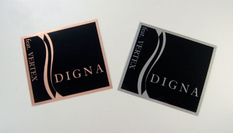 画像1: ディグナ　スクエアステッカー (1)